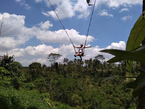 Waterfalls Rice Fields Swing